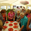 15.08.11 ou g13y_preview.jpg
